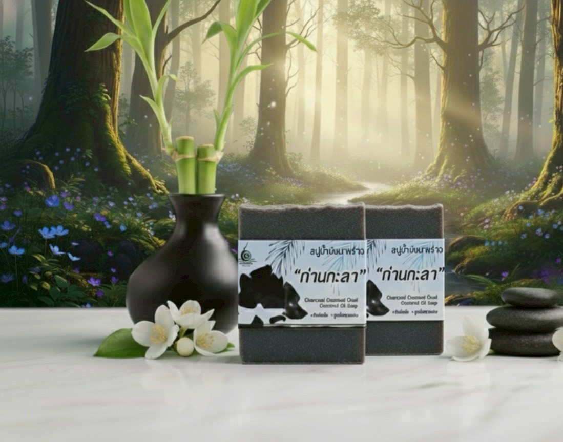 สบู่ถ่านกะลาออแกนิค - Image 3